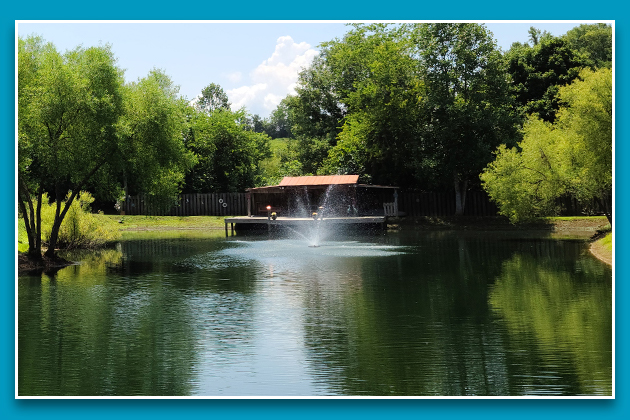 Our Sevierville private pond for holistic healing